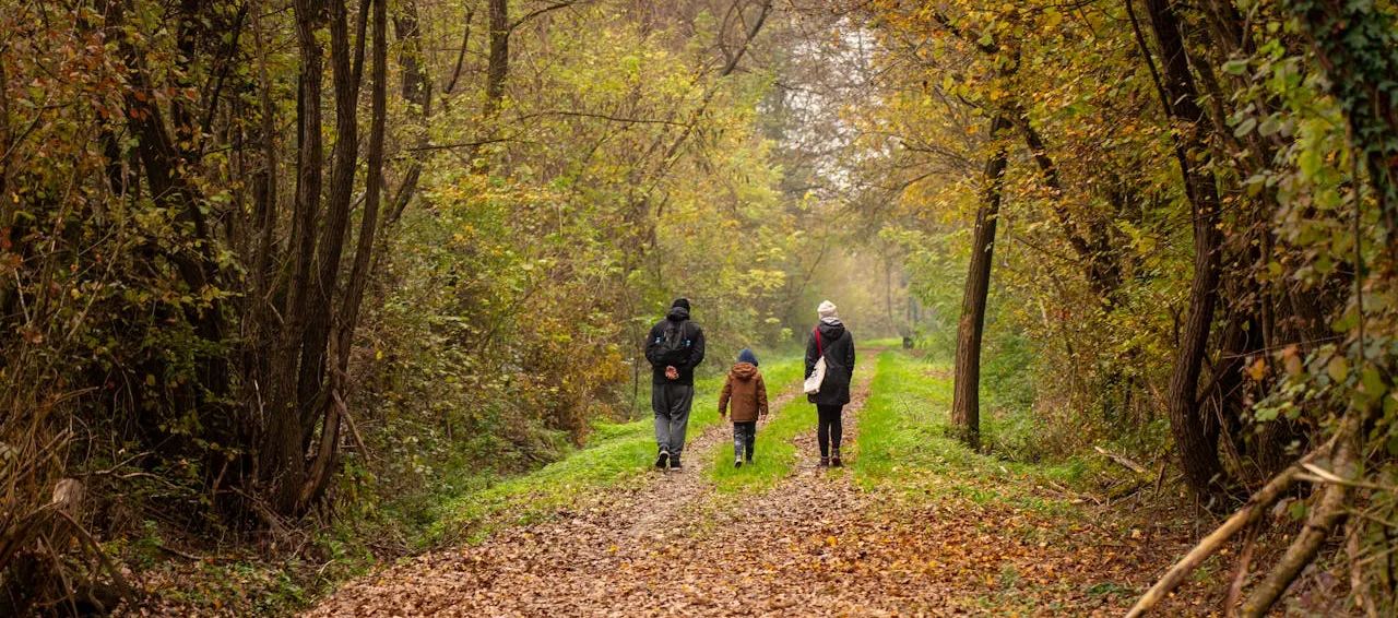 kaksi aikuista ja lapsi metsäkävelyllä